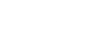 Champagne + Fromage